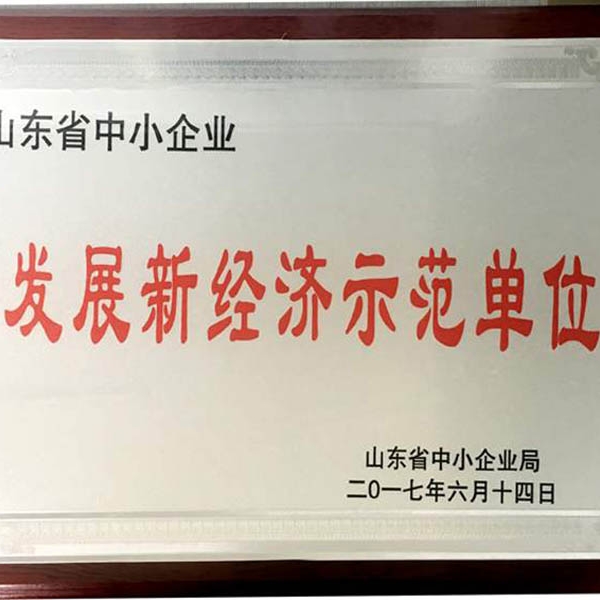 山東發(fā)展新經(jīng)濟(jì)示范單位